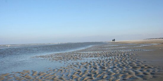 Waddenzee