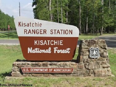 Kisatchie National Forest, Louisiana