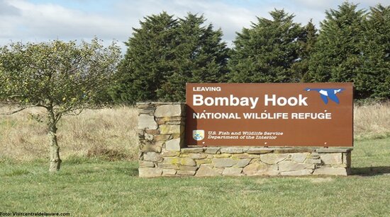 Bombay Hook National Wildlife Refuge, Delaware