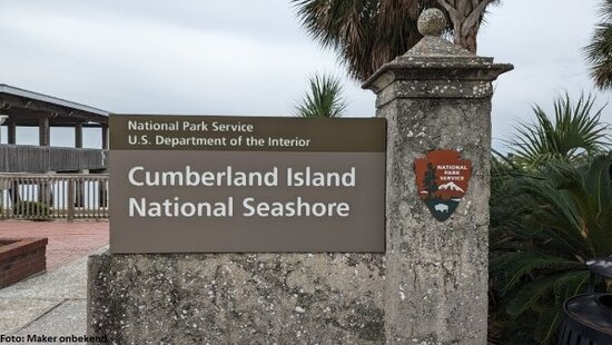 Cumberland Island National Seashore, Georgia