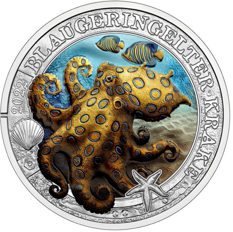 2022: Grote blauwring-octopus