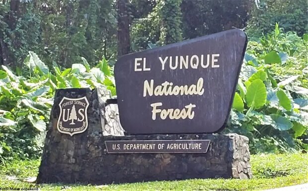 El Yunque National Forest, Puerto Rico