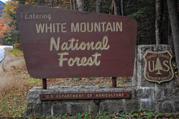 White Mountain National Forest, New Hampshire